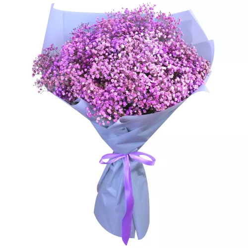 19 фиолетовых гипсофил