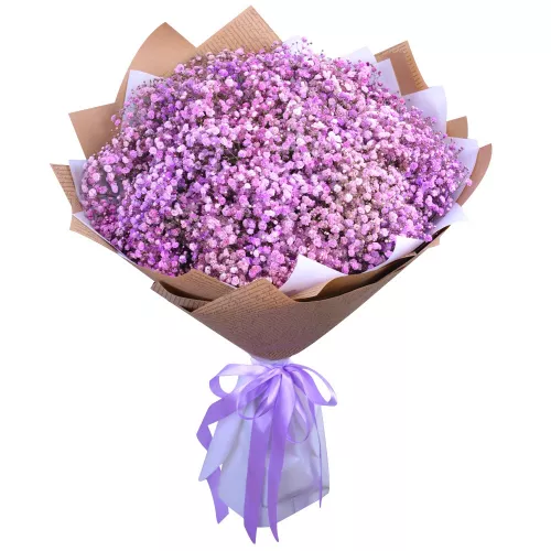 Букет цветов из 25 фиолетовых гипсофил в упаковке