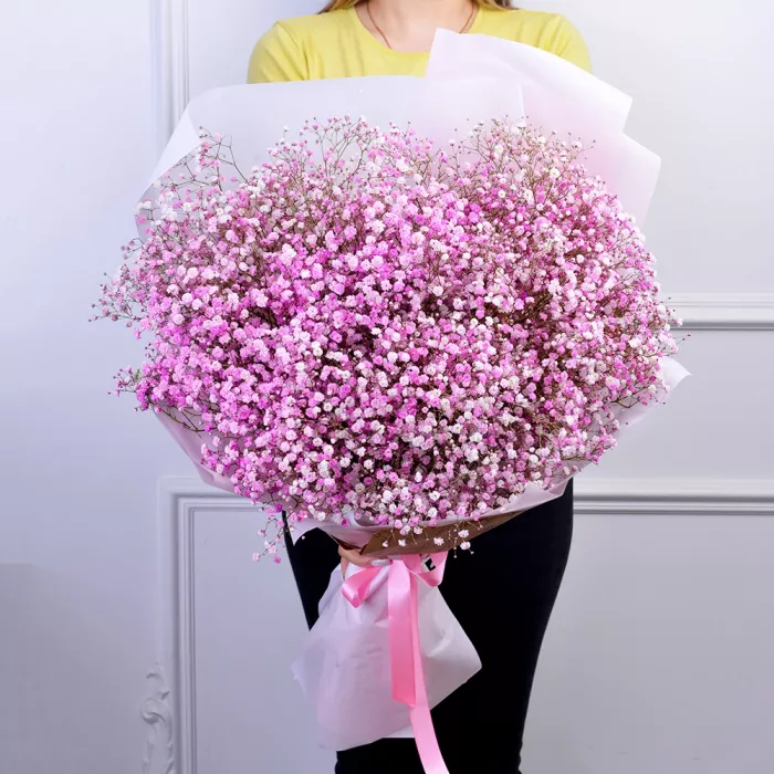 Букет из 25 розовых гипсофил