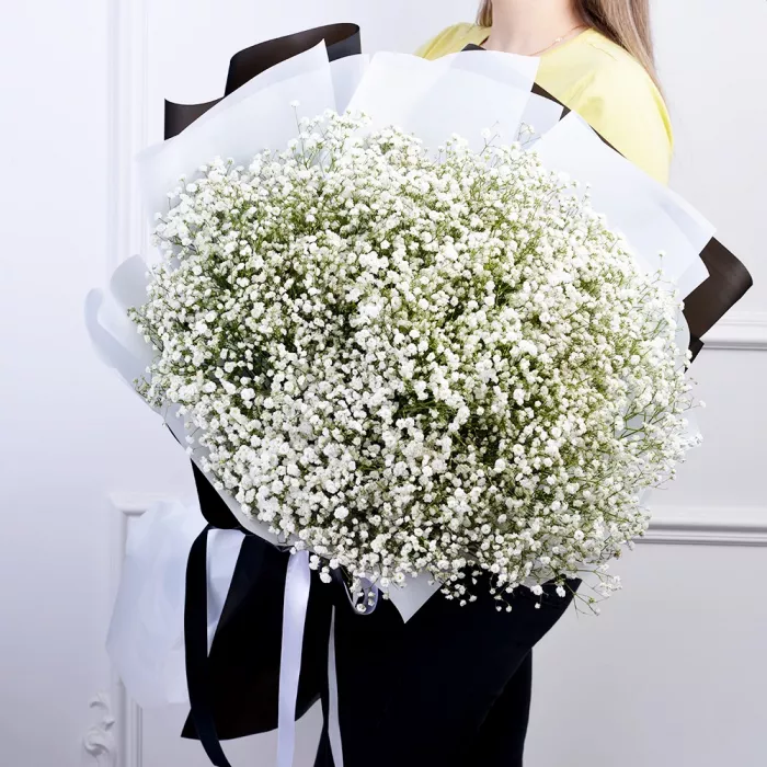 Букет из 35 белых гипсофил