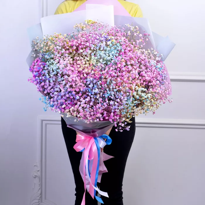 21 разноцветная гипсофила