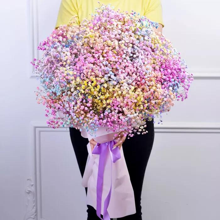 25 разноцветных гипсофил