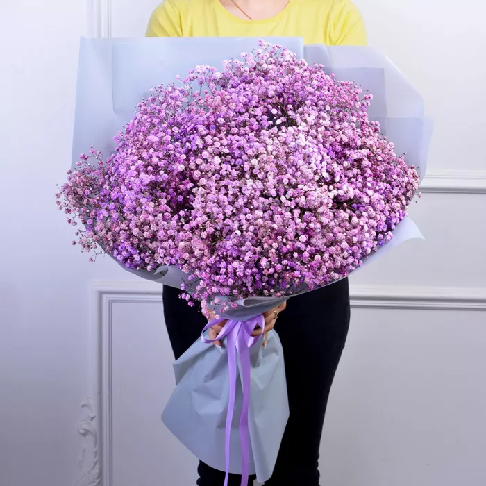 19 фиолетовых гипсофил