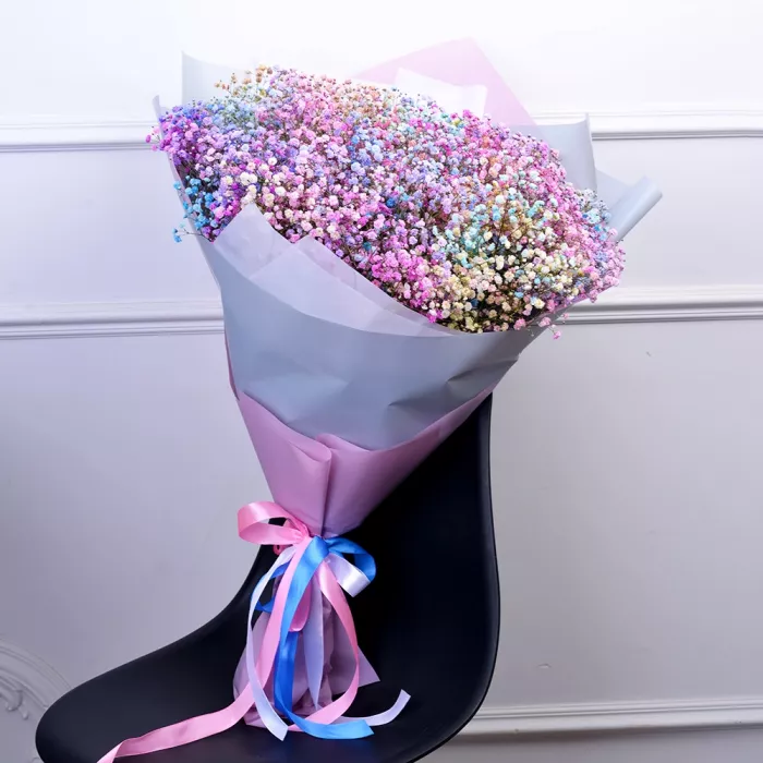 21 разноцветная гипсофила