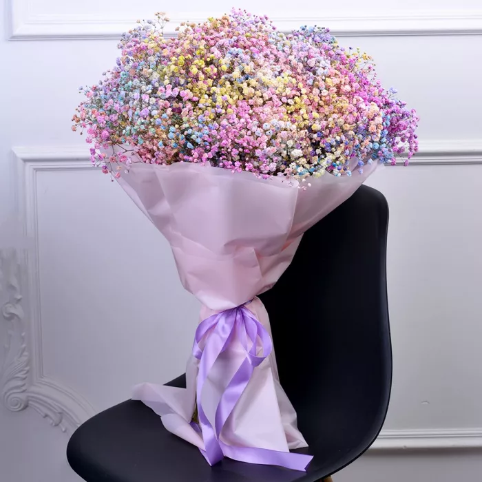 25 разноцветных гипсофил