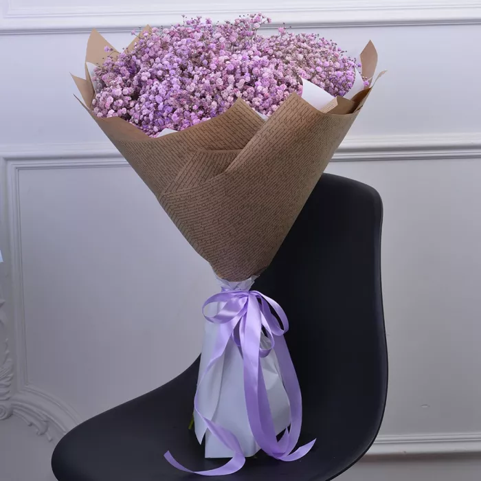 Букет из 25 фиолетовых гипсофил