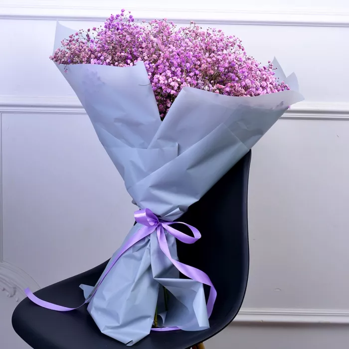 19 фиолетовых гипсофил