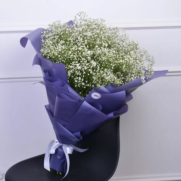 Букет из 19 белых гипсофил