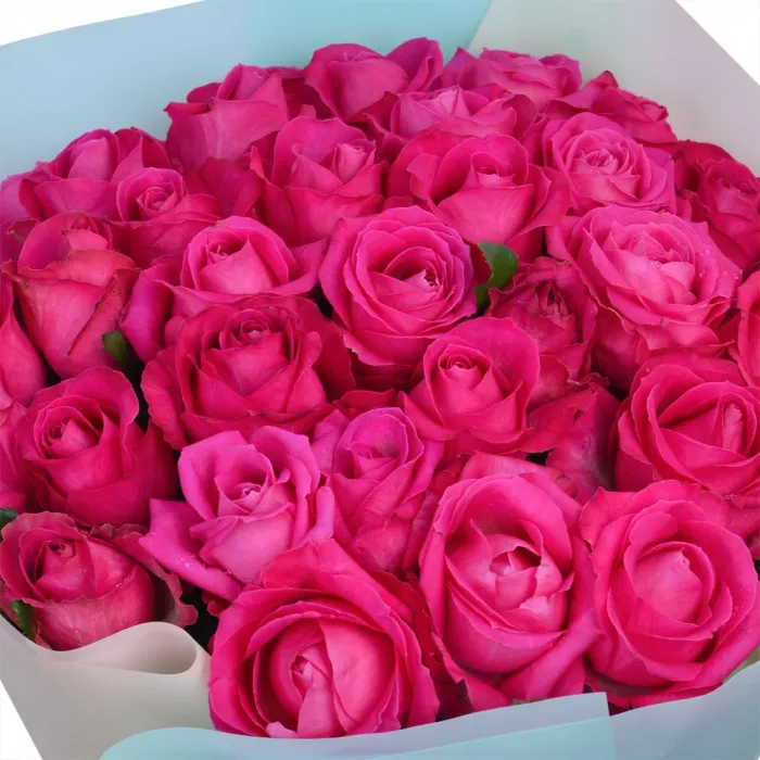 Букет из 35 малиновых  роз 50 см