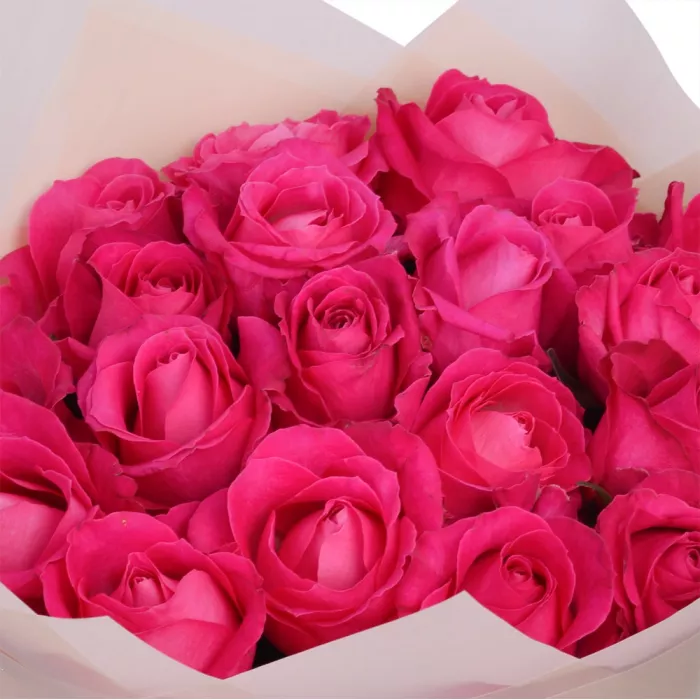 Букет из 19 малиновых роз 50 см