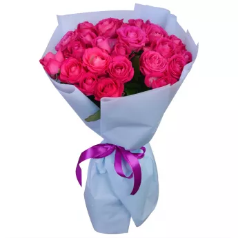25 малиновых роз Premium 50 см
