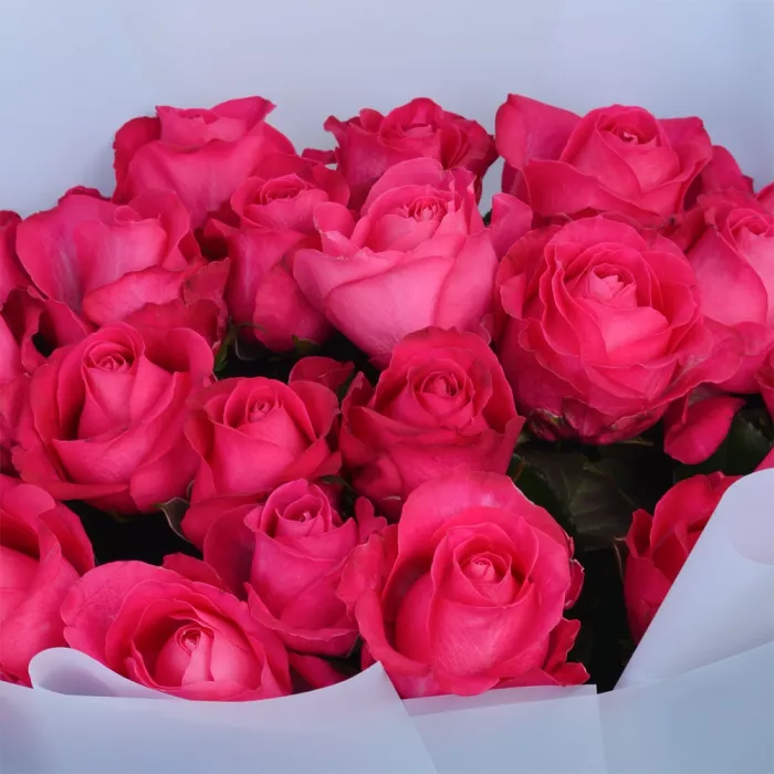 Букет из 21 малиновой розы 60 см