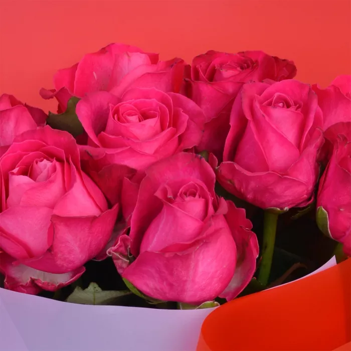 9 малиновых роз 60 см