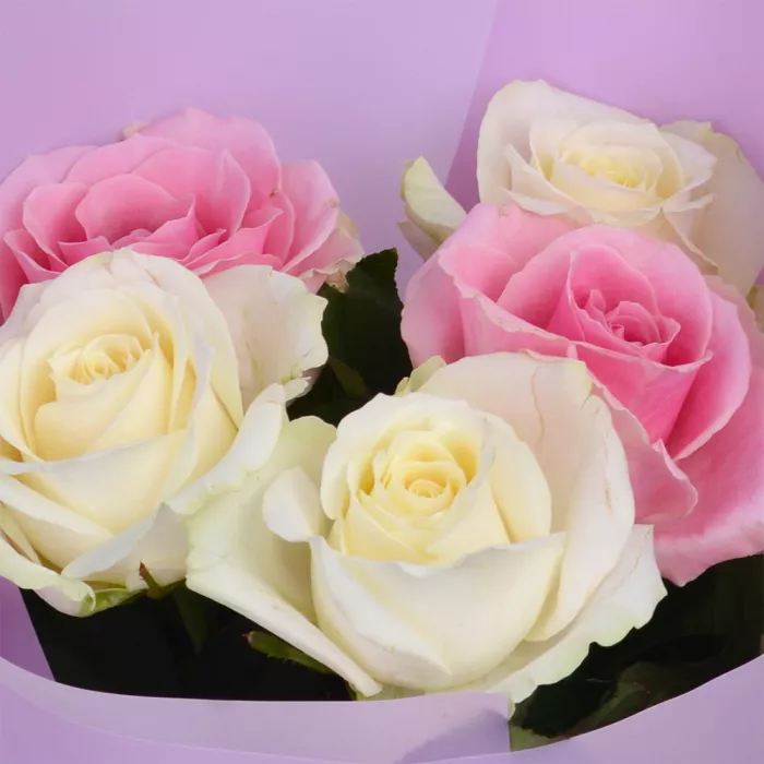 5 разноцветных роз 40 см