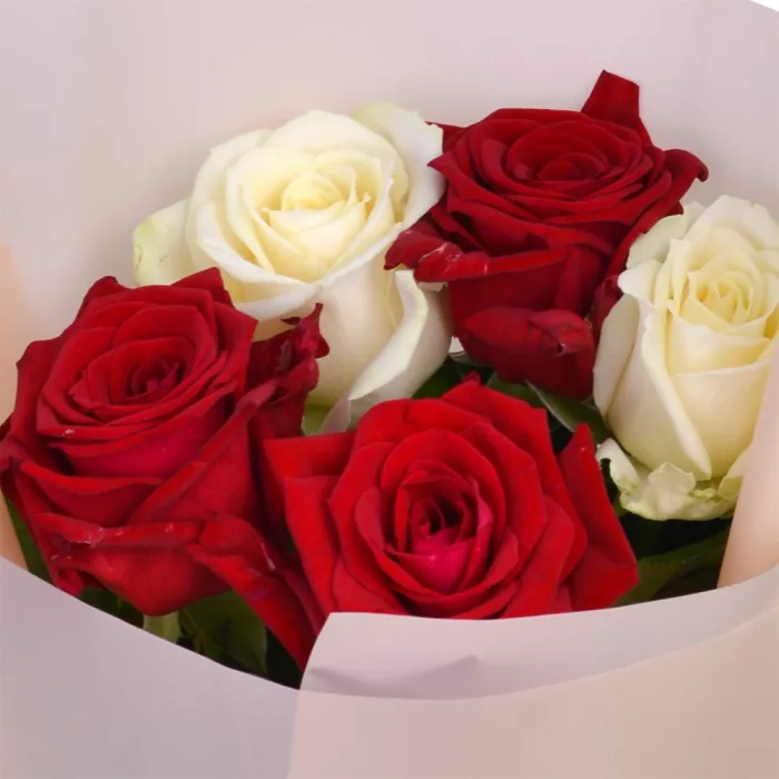 5 разноцветных роз 60 см