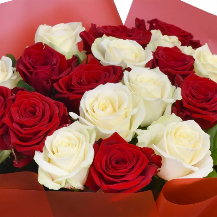 19 разноцветных роз 60 см