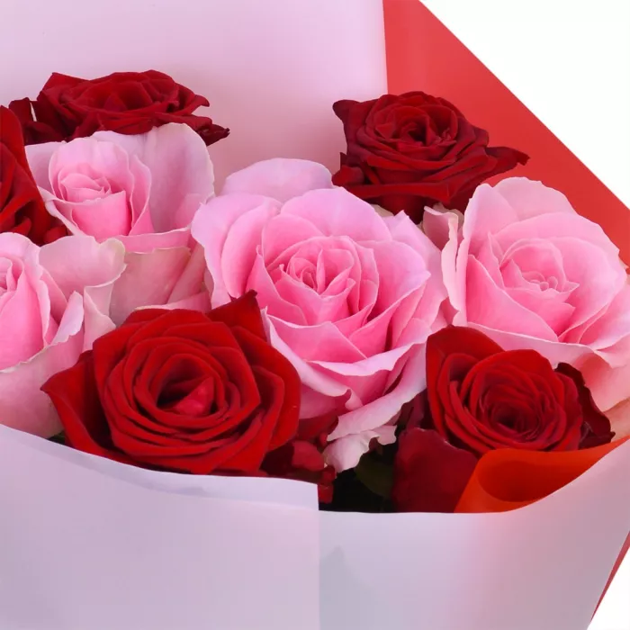 9 разноцветных роз premium 40 см