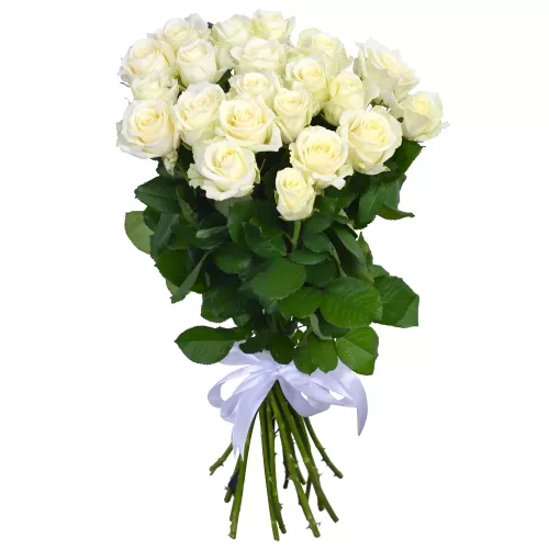 Букет из 21 белой розы 60 см