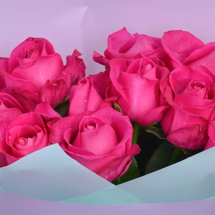 Букет из 11 малиновых роз 60 см