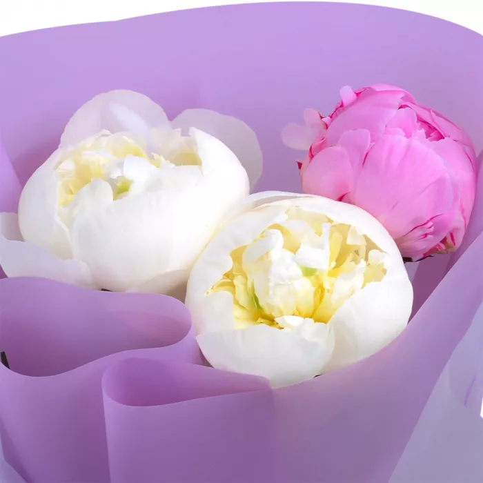 Букет из 3 разноцветных пионов