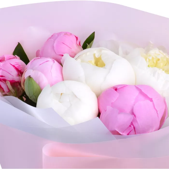 Букет из 7 разноцветных пионов