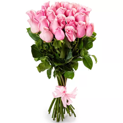 25 розовых роз Эквадор 70 см