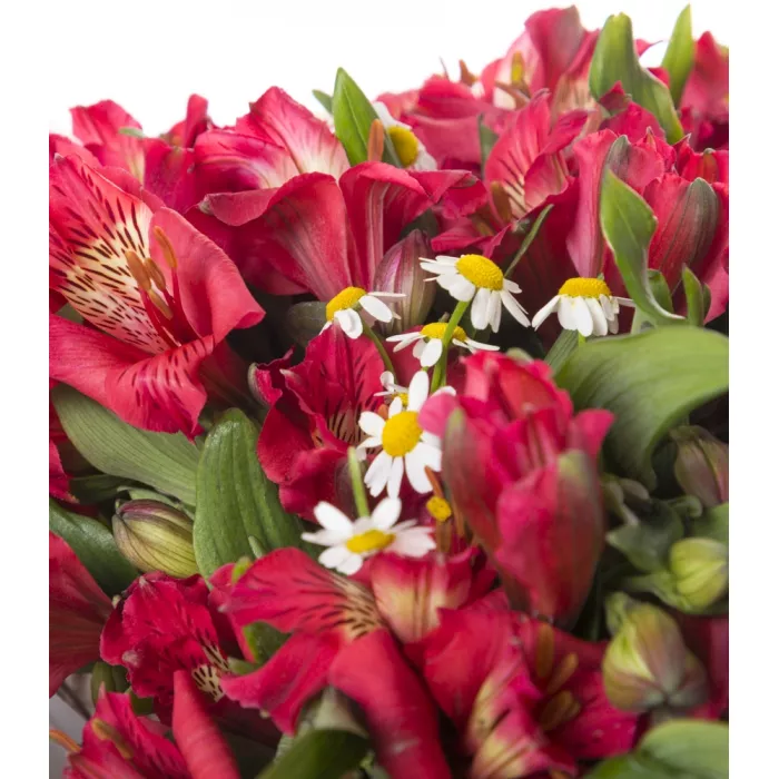 Букет из 15 альстромерии и танацетума