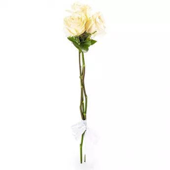 3 белые розы Эквадор 70 см