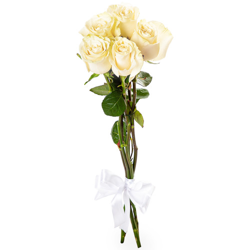 Монобукет из 5 белых роз Эквадор 70 см