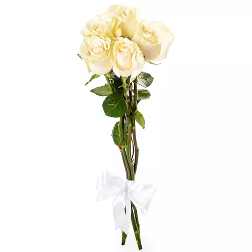Монобукет из 5 белых роз Эквадор 70 см