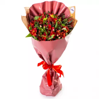 9 красных альстромерий и эвкалипта