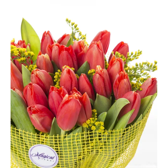 Букет из 35 красных тюльпанов