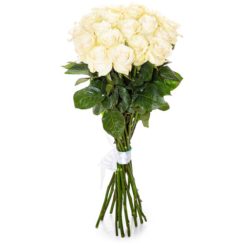 19 белых длинных роз Эквадор 70 см