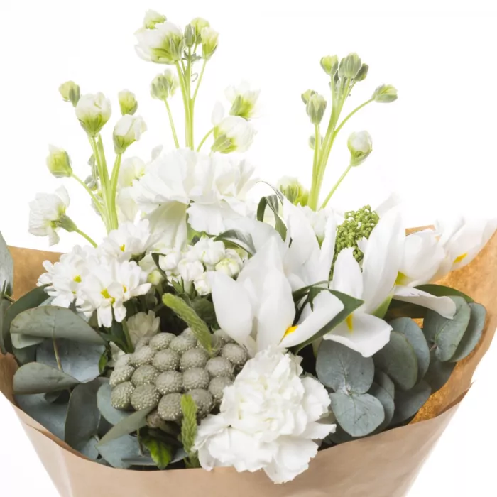 Букет из ириса, гвоздик и матиолы