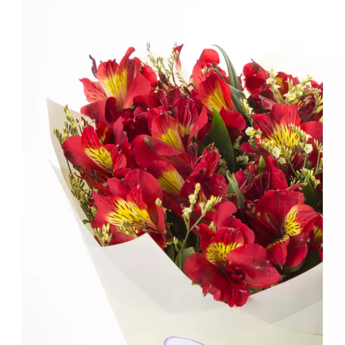 Букет из 5 красных альстромерий