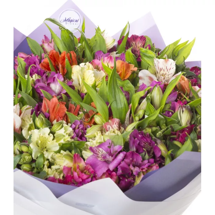 Букет из 51 разноцветной альстромерии