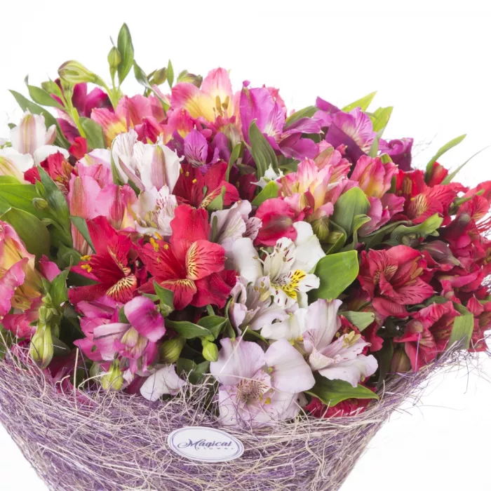 Букет из 15 разноцветных альстромерий