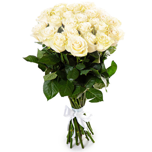25 белых длинных роз Эквадор 70 см
