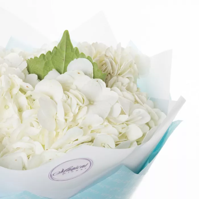 Букет из 3 белых гортензий