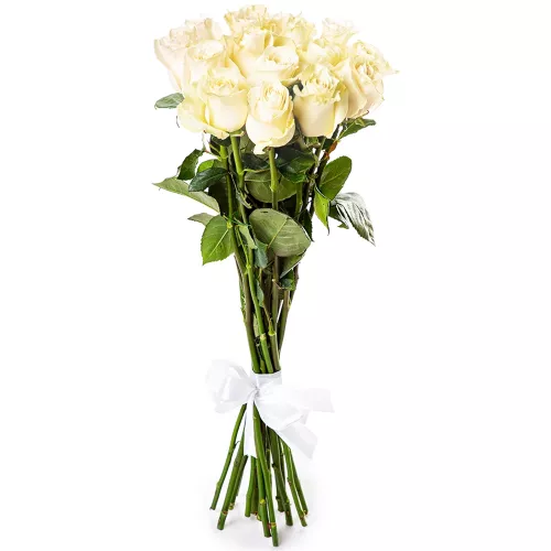 Букет из 15 белых длинных роз Эквадор 70 см