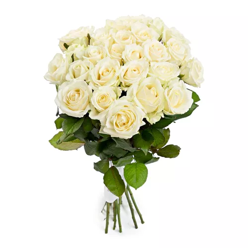 25 белых роз 60 см