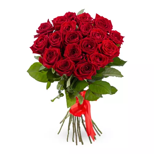 19 красных роз 60 см