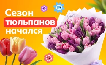 tyulpany
