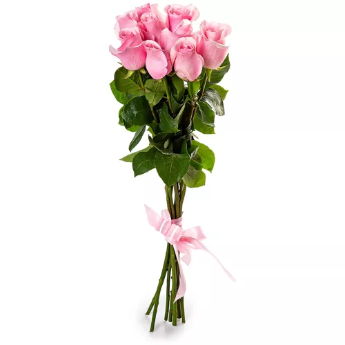 Монобукет из 9 розовых роз Эквадор 70 см
