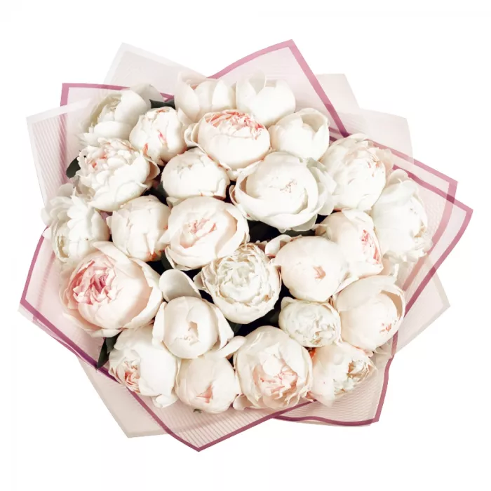 Букет из 25 белых пионов