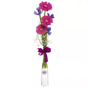 Букет из розовых гербер и ирисов