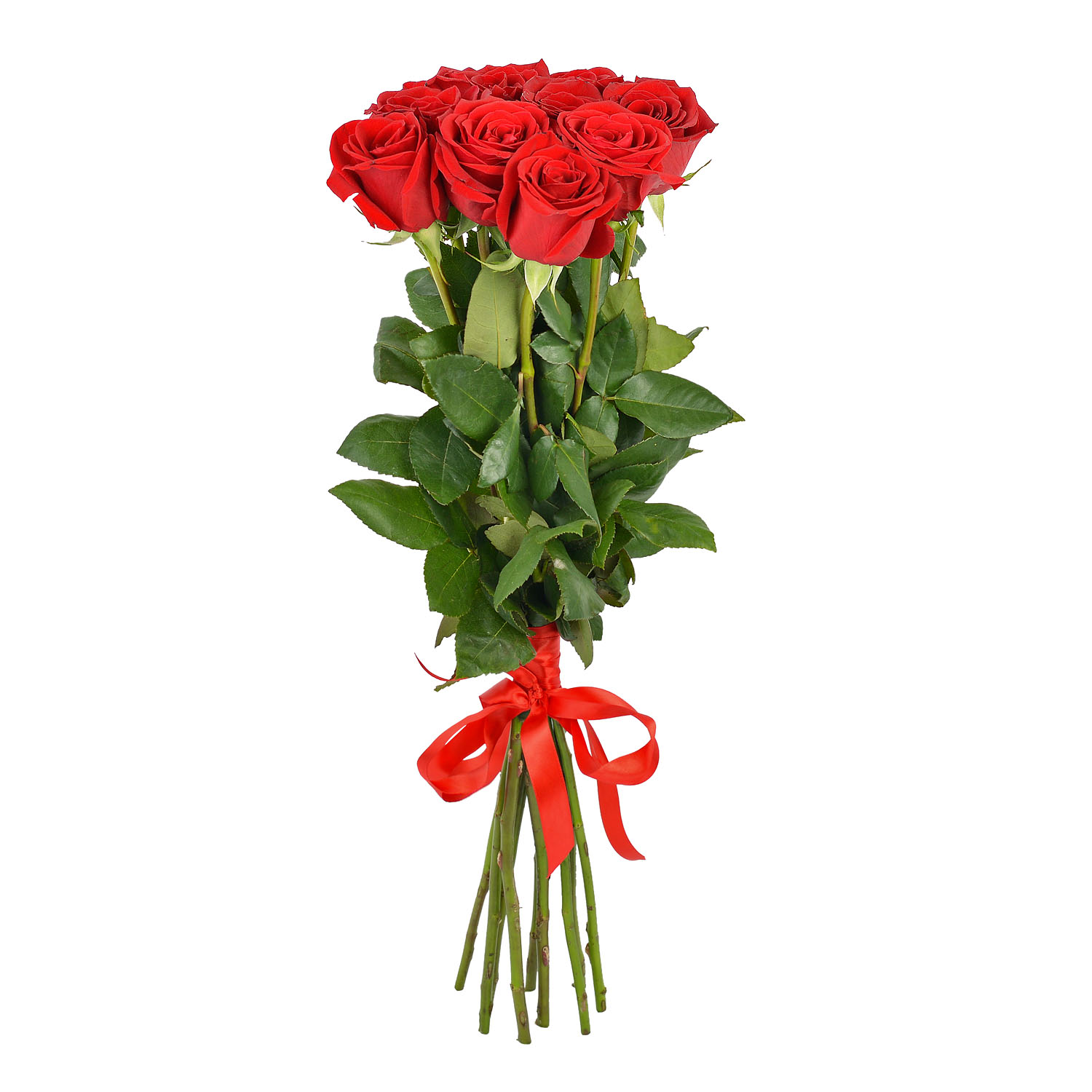 Девять роз. Букет эквадорских роз. Букет 11 красных роз Эквадор. 9 Роз Эквадор.